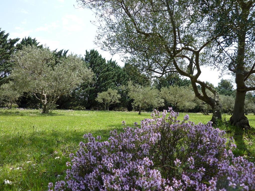 Bed and Breakfast Les Mazets Du Luberon Puget Exterior foto